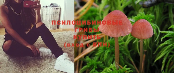 метадон Баксан