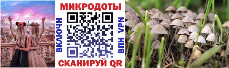 Галлюциногенные грибы Magic Shrooms  дарнет шоп  Волгореченск 