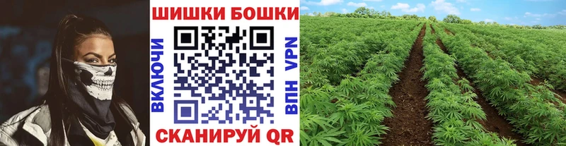 Бошки марихуана план  где купить   Волгореченск 